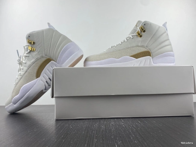 Reps TBkick White Retro 873864-102 12 Jordan OVO 0716